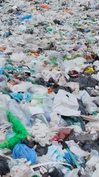 Відео Фон Пластиковими Відходами Пластикових Пляшок Проблема Екології Вертикальне Відео — стокове відео