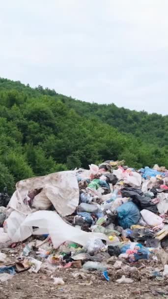 Landfill Plastic Waste Ecological Disaster Toxic Waste Middle Nature Conservation — Stock Video