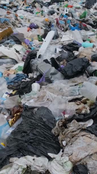 Çevre Felaketi Doğadaki Zehirli Atık Plastik Çöp Yığını Kapatın Dikey — Stok video