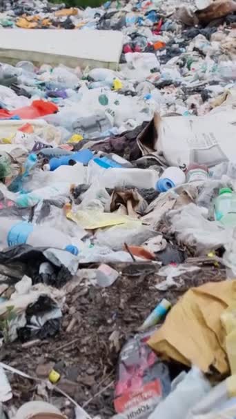 Katastrofa Ekologiczna Wszechobecna Sterta Śmieci Odpadów Tworzyw Sztucznych Rozrzuconych Wzdłuż — Wideo stockowe