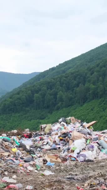 Landfill Middle Beautiful Green Mountains Problems Eliminating Plastic Waste Vertical — Stock Video