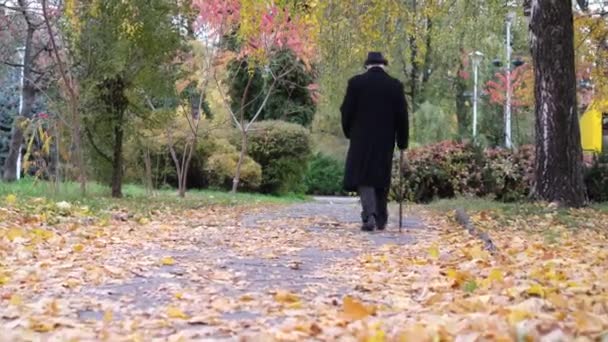 一个孤独的老人在秋天的公园里散步 步子又慢又坚定 这个男人很沮丧 一个孤独的老年人 — 图库视频影像