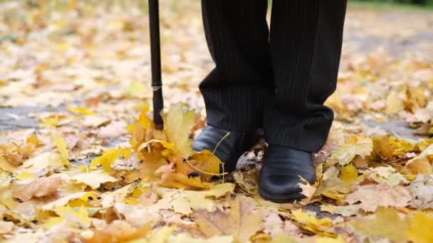 古い祖父が秋の公園を歩き 黄色い葉が履いたブーツの下に地面を覆っている 孤独を感じる 深い憂鬱 クローズアップ — ストック動画
