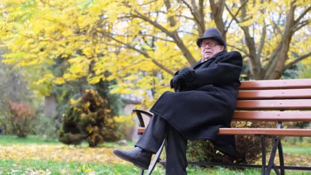 在一个阳光明媚的秋日 一位年迈的退休人员坐在城市公园里享受户外运动的乐趣 与自然独处和交流的时刻 — 图库视频影像