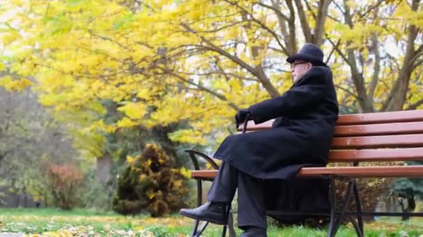 Osamělý Dědeček Depresi Sedí Podzimním Parku Sobě Kabát Klobouk Sociální — Stock video