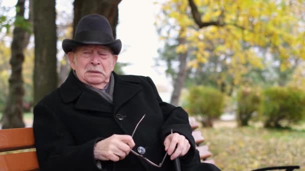 Ein Einsamer Großvater Einem Herbstlichen Park Ist Ein Großartiger Ort — Stockvideo