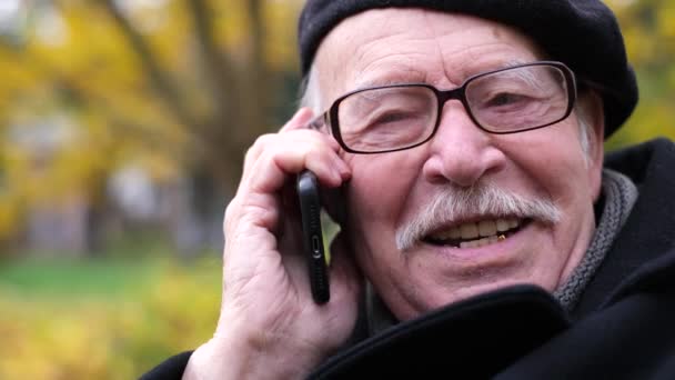 秋の公園のベンチに座っている間 スマートフォンで話す灰色のひげを持つ幸せな祖父の肖像画 電話で孫たちとのコミュニケーション — ストック動画