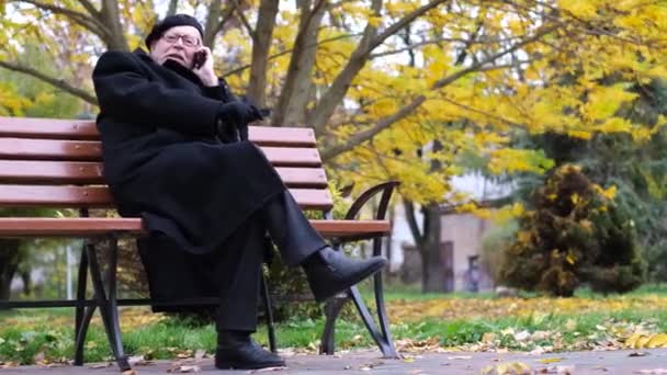 黒いベレーの祖父は 秋の公園のベンチに座っている間 スマートフォンで話しています 電話で孫たちとのコミュニケーション モバイル通信のコンセプト — ストック動画