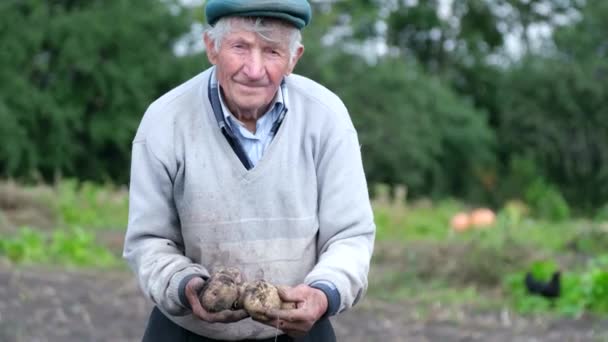 Viejo Agricultor Muestra Sus Verduras Orgánicas Granjero Macho Mayor Parado — Vídeos de Stock