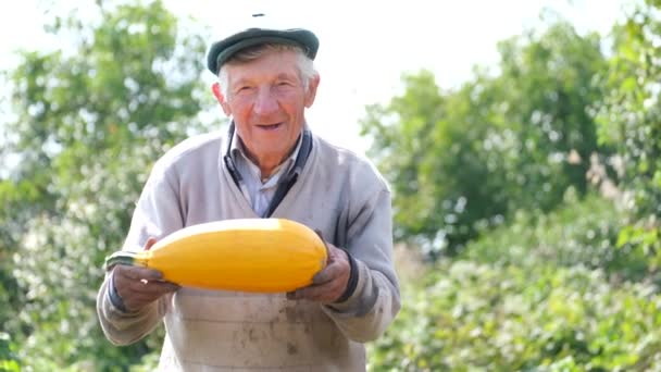 Ένας Ευτυχισμένος Γέρος Αγρότης Κρατάει Μια Φθινοπωρινή Σοδειά Κολοκύθας Στα — Αρχείο Βίντεο