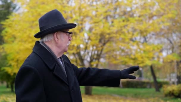祖父は美しい秋の公園を歩き回り 黒い帽子とコートを被り 子供の頃の記憶を語っています 新鮮な空気の中で歩くことによって年金受給者がリラックス — ストック動画