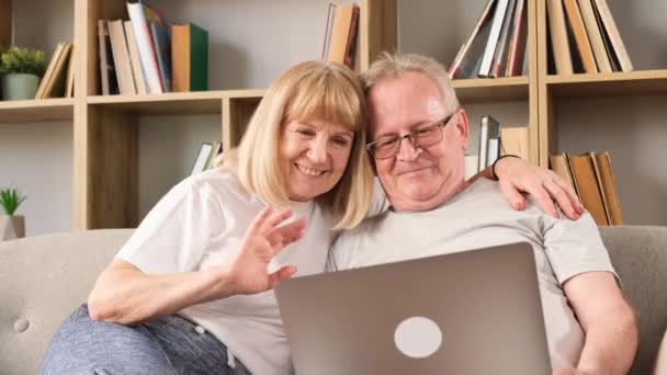 Yaşlı Bir Çift Evdeki Kanepede Dinlenirken Dizüstü Bilgisayarla Video Görüşmesi — Stok video