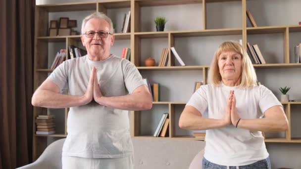 Ein Älteres Paar Macht Hause Yoga Übungen Online Schulungen Für — Stockvideo