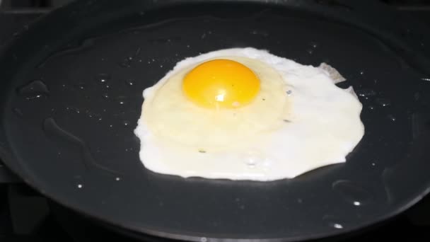 Посыпать Ароматические Приправы Яйца Кастрюле Жгу Яйцо Концепция Приготовления Пищи — стоковое видео