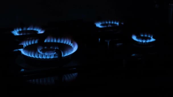 炉子上的蓝色煤气灯 黑色背景上的煤气炉 在炉膛内燃烧天然气 — 图库视频影像