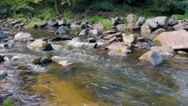 水と緑色のモッシーな岩を流しています 水は強姦を通して急流する 山に流れる川 — ストック動画
