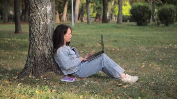 Young Woman Laptop Sitting Grass Park Autumn Day Resting Education Royalty Free Stock Video