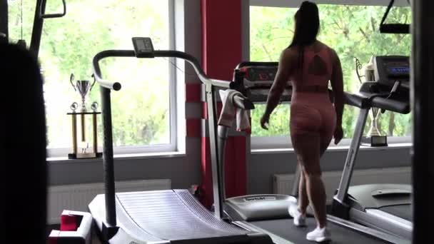 生活方式 科技和人的观念 女人们在健身房跑步机上锻炼 在健身俱乐部的跑步机上跑步的漂亮女人 — 图库视频影像
