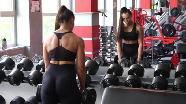 スポーツ 健康的なライフスタイルのコンセプトで女性のトレーニング 美しいスポーティな女性ダンベルで二重筋肉をトレーニング — ストック動画