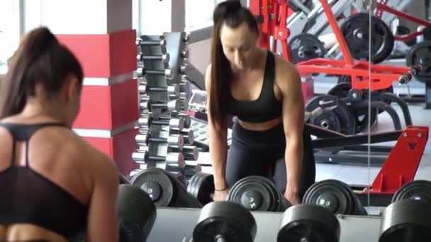 漂亮的女运动员用哑铃训练二头肌 体操馆的力量训练 — 图库视频影像