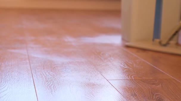 Kobieta Sprząta Podłogę Salonie Mopem Czystość Domu — Wideo stockowe