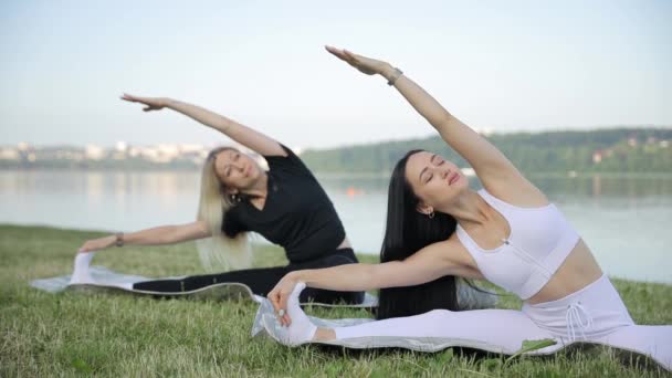 夏天在湖边上女子瑜伽课 一组妇女一起做伸展运动 瑜伽概念 — 图库视频影像
