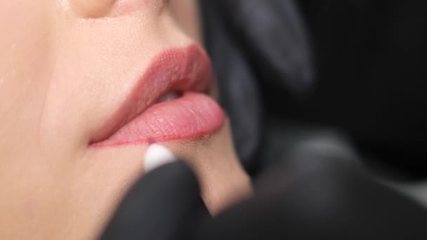 Profesjonalna Makijażystka Jej Klient Podczas Procedury Rumieńców Ust Kosmetolog Zaznacza — Wideo stockowe