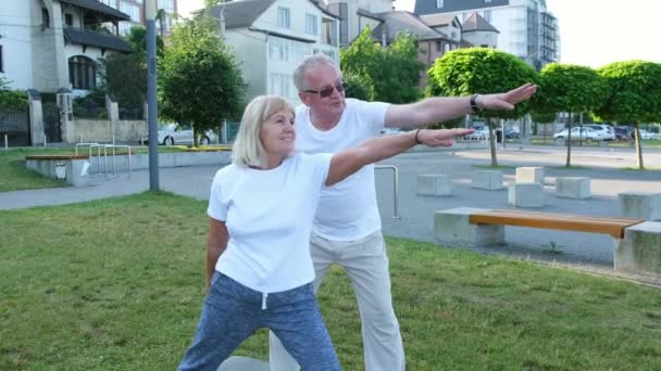 Natura Yoga Coppia Anziani Che Fanno Esercizio All Aperto Pensionamento — Video Stock