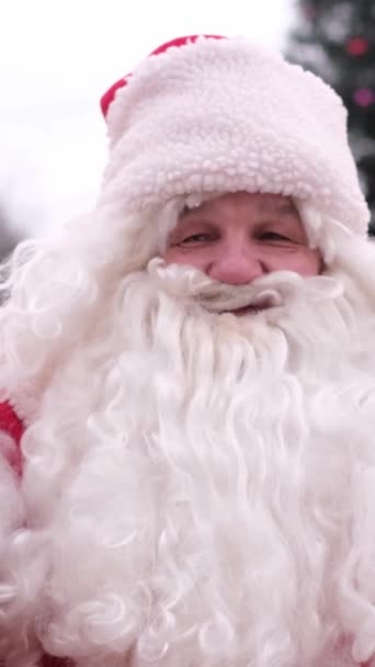 Glad Jultomten Tittar Kameran Närbild Traditionell Jultomte Tittar Kameran Och — Stockvideo