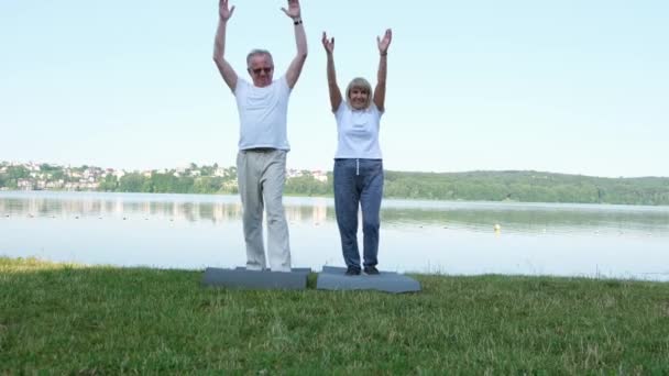 Starsza Para Uprawia Sport Zdrowie Układu Oddechowego Zrób Cardio Każdego — Wideo stockowe
