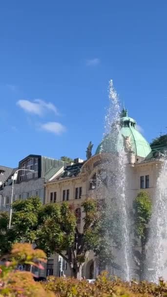 Відомий Курорт Західній Чехії Дуже Популярне Туристичне Місце Чехії Місто — стокове відео