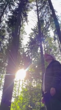 Bir kadın uzun ağaçlarla bir yaz ormanında yürür. Kamera döndürmesi. Ağır çekim. Dikey video.