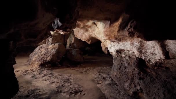 Mörk Fängelsehåla Tunnel Utgrävningar Jord — Stockvideo