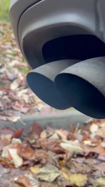 Gazele Eșapament Ale Unei Mașini Diesel Videoclipuri Verticală — Videoclip de stoc