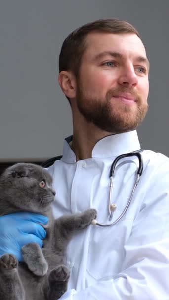 Κτηνίατρος Κρατώντας Ένα Μικρό Σκωτσέζικο Γατάκι Στην Αγκαλιά Του Μια — Αρχείο Βίντεο