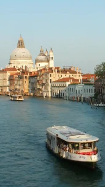 Timelapse Venedig Italien Vertikal Video — Stockvideo
