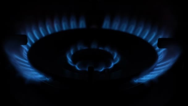 Een Blauwe Gasvlam Brandt Een Zwarte Achtergrond Energiecrisis Gebruik Van — Stockvideo