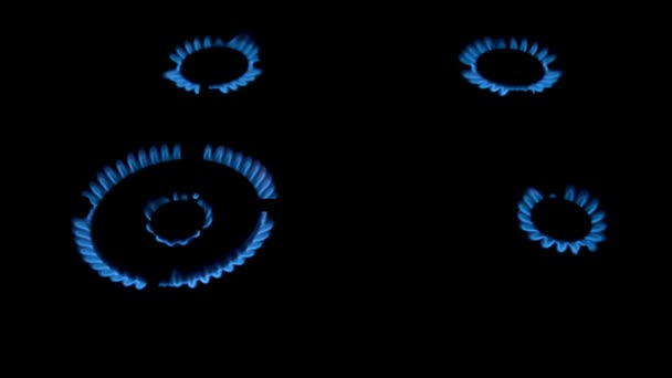 Gas Stove Burns Blue Flame Cooking Food — Stock Video