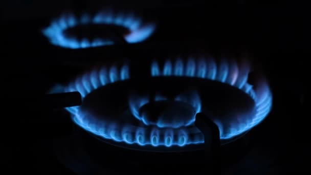 Голубое Пламя Горит Газовой Плите Керосиновая Печь Черном Фоне — стоковое видео