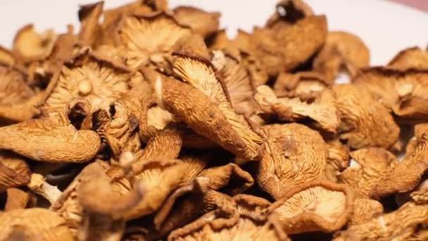 Cogumelos Alucinógenos Secados Giram Círculo Narcóticos — Vídeo de Stock