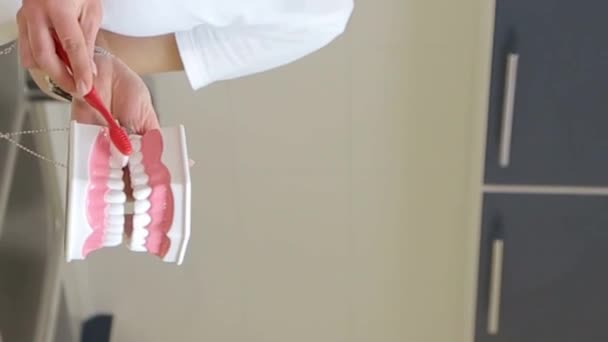 Μια Γυναίκα Οδοντίατρος Κρατά Ένα Μοντέλο Σαγονιού Και Μια Οδοντόβουρτσα — Αρχείο Βίντεο