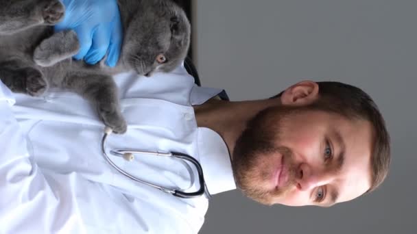 Veteriner Doktor Tıbbi Hayvan Kliniğinde Kucağında Küçük Bir Skoç Kedi — Stok video