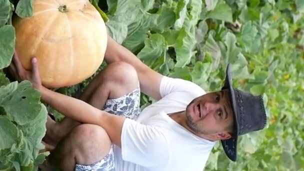 一个年轻的农民种了一个大南瓜 垂直录像 — 图库视频影像