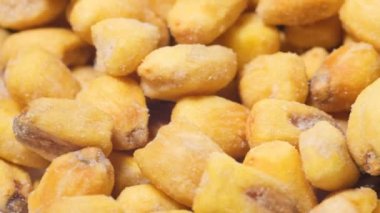 Makro video, kurumuş mısır daireler çiziyor. Mısır arkaplanı.