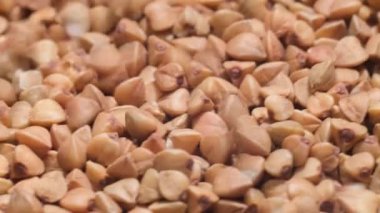 Karabuğday hasadı. Olgun karabuğday tohumları daire şeklinde döner. Makro video.