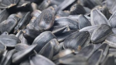 Ayçiçeği çekirdekleri dairesel bir hareketle döner. Makro video.