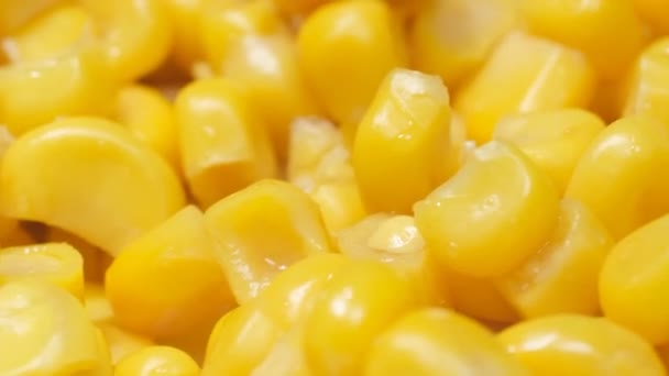 玉米种子旋转成圆形 宏观视频 — 图库视频影像