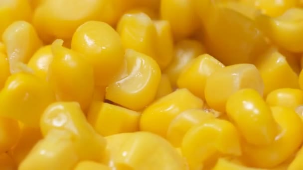 玉米粒下落 宏观视频 — 图库视频影像