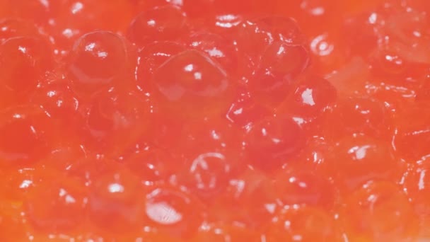 Caviar Vermelho Gira Círculo Fundo Caviar Delicadeza Peixe — Vídeo de Stock