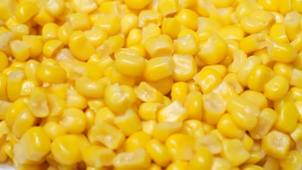 Gekochtes Mais Dreht Sich Kreis Hintergrund Mais — Stockvideo